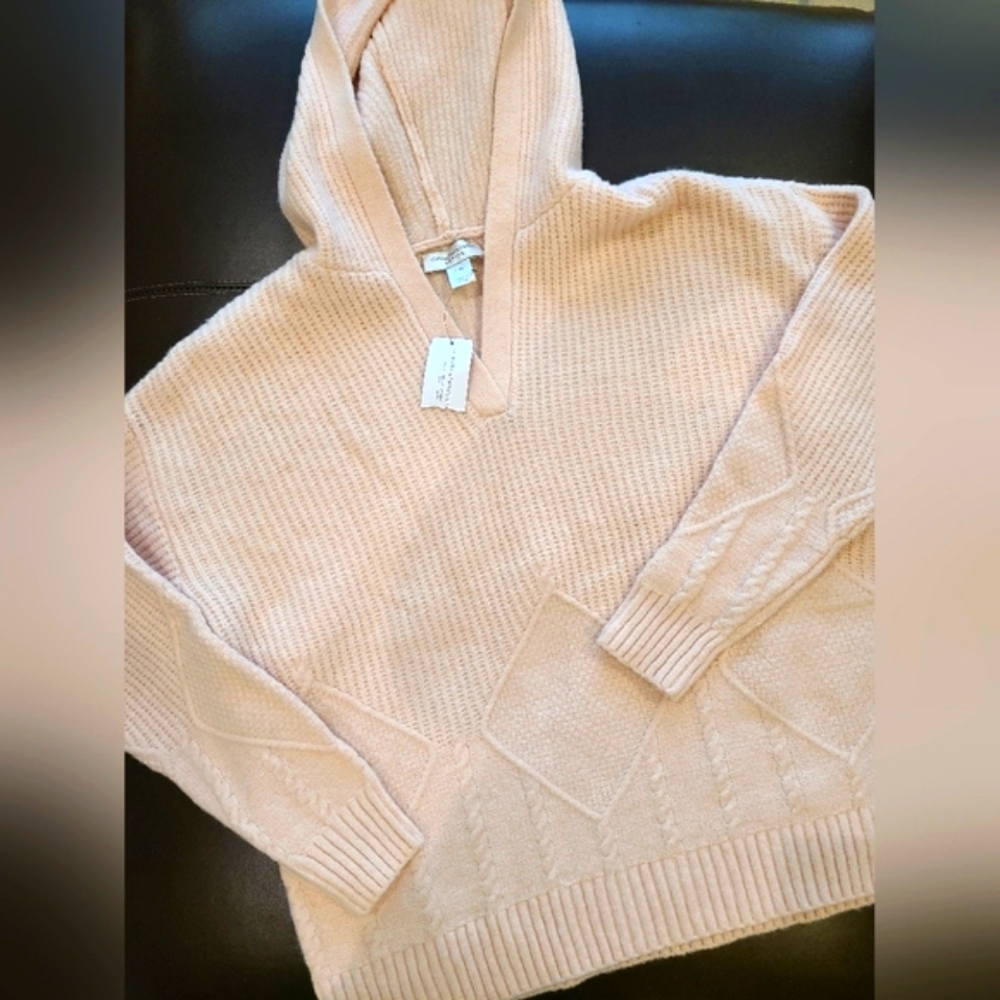 Christopher & Banks Hooded Sweater